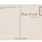 Chrome postcard.  Texas Rodeo.  World's largest amateur rodeo.  Horses, cowboys. - Image 2