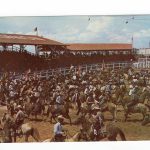 Chrome postcard.  Texas Rodeo.  World's largest amateur rodeo.  Horses, cowboys.