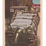 Linen postcard.  Bales of Cotton ready for shipment.  Photo by Tennessee Department of Conservation.  Black man.