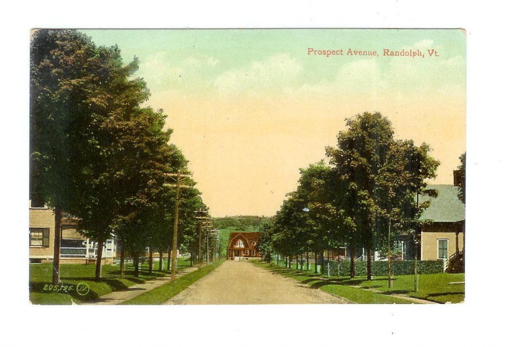 Old postcard. Prospect Avenue, Randolph, Vermont. 1909. Jackie's