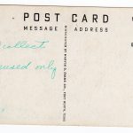 Postcard.  Rose Smith riding high on Easy Money.  Strkyer's Photogloss Rodeo Series 3.  Cowboy, horse. - Image 2