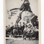 Postcard.  Rose Smith riding high on Easy Money.  Strkyer's Photogloss Rodeo Series 3.  Cowboy, horse.