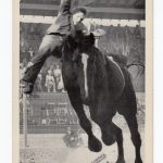 Postcard.  Tommy Harris forced from Happy Landing.  Strkyer's Photogloss Rodeo Series 1.  Cowboy, horse.