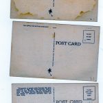 6 Linen Postcards, Ringling Bros Circus, Winter Headquarters, Sarasota, FL. - Image 4