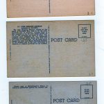 6 Linen Postcards, Ringling Bros Circus, Winter Headquarters, Sarasota, FL. - Image 2