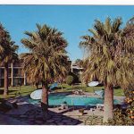 Chrome postcard.  Los Olivos Hotel, 202 E McDowell, Phoenix, Arizona.  pool, orange tree.