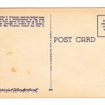Linen postcard.  General Fremont Tree, Big Trees Park, Santa Cruz County, California. - Image 2