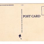 Linen postcard.  Greetings from the Sunshine City, St Petersburg, Florida.  Nativity Scene at night with angels. - Image 2