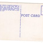 Chrome Postcard.  Democracy in Action. Dr H D Niblack, Wood Sculpture, Denver, Colorado. 1951. - Image 2