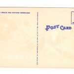 Linen postcard.  Greetings from Largo, Florida.  Large Letter. - Image 2