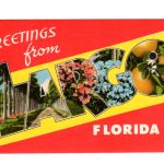 Linen postcard.  Greetings from Largo, Florida.  Large Letter.