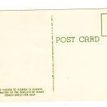 Chrome postcard.  The Southernmost Point of Southernmost City, Florida.  Sea shells for sale. - Image 2