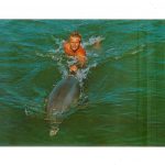 Chrome postcard. Mitzi, star of Flipper, Santini's Porpoise Training School, Grassy Key, Florida.