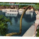 Linen postcard.  The Honeymoon or Lucky Tree, Silver Springs, Florida.  Pretty woman in bathing suit.