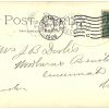 Old postcard.  Washington Oak, Audubon Park, New Orleans, Louisiana.  Undivided back. 1906. - Image 2