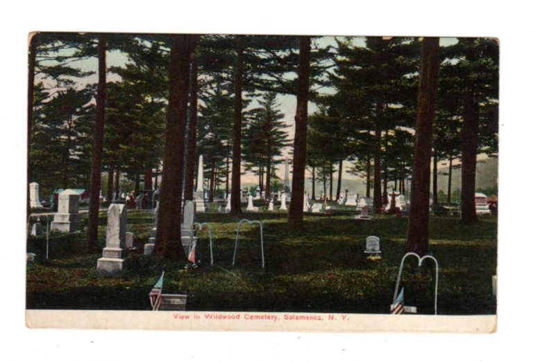 Old postcard. View in Wildwood Cemetery, Salamanca, New York. Jackie's Vintage Postcards