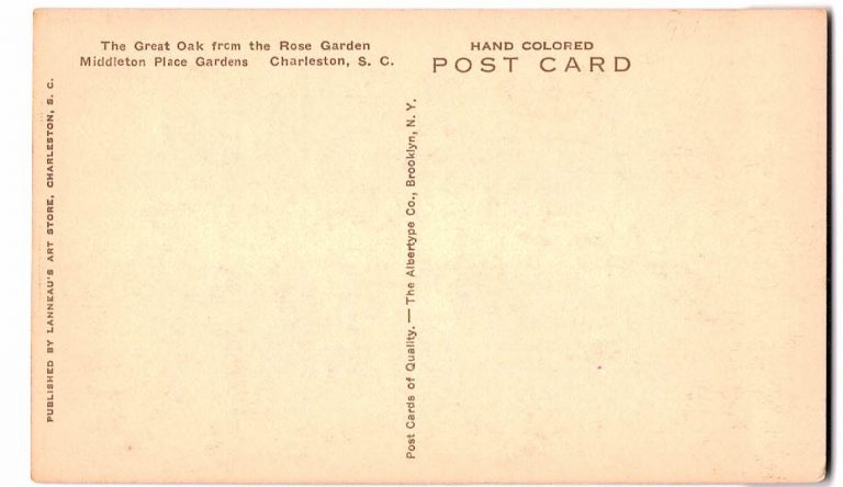 Old postcard. The Great Oak from the Rose Garden, Middleton Place ...
