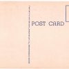 Linen postcard.  St Patrick's Catholic Church and Campanile, Miami Beach, Florida. - Image 2