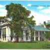 Linen postcard.  Richmond, Natchez, Mississippi.  Plantation House.
