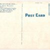 Linen postcard.  Greetings from Mobile, Alabama.  Large Letter. - Image 2