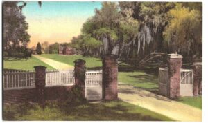 Postcard.  Entrance gate and lawn, Middleton Place Gardens, Charleston, South Carolina.  Hand-colored.