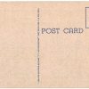 Linen Postcard.  Greetings from Dothan, Alabama.  Large Letter. Black people picking cotton. - Image 2