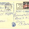 Linen postcard.  Bald eagle, National Zoological Park, Washington, DC.  Zoo, 1948.  International Geophysical Year 1957-58 stamp. - Image 2