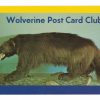 Chrome postcard.  Wolverine Post Card Club, Detroit, Michigan.
