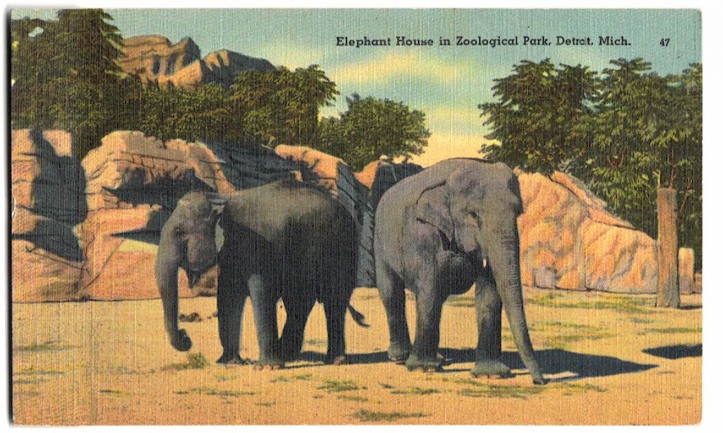 Linen postcard. Elephant House in Zoological Park, Detroit, Michigan ...