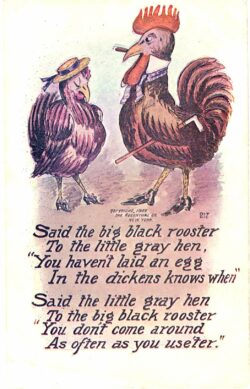 Old postcard.  Said the big black rooster to the little gray hen, You haven't laid an egg In the dickens knows when.  Said the little gray hen To the big black rooster, You don't come around As often as you use'ter. 1907.  Embossed.