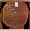 Chrome Postcard.  Redwood Log Section, Muir Woods National Monument, California. Tree Rings.