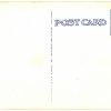 White border postcard.  Deadhorse Gulch, Trail of '98 on White Pass & Yukon Route., Alaska.  Train tracks. - Image 2