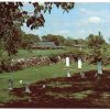 Chrome postcard.  Moses Carver's Family Cemetery, Diamond, Missouri. George Washington Carver National Monument.