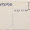 Linen postcard.  Cautioning the family in the Great Smoky Mountains National Park.  Bears. - Image 2