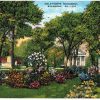Linen postcard.  Oglethorpe Monument, Savannah, Georgia.  1944.