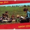 Chrome postcard. Greetings from Amish Country.  A Group of Amish Children reading their books during recess at school. Pennsylvania.