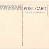 Linen postcard.  Grizzly bears, Otter Creek feeding grounds, Yellowstone Park, Wyoming. - Image 2