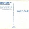 Chrome Postcard.  Kapok Tree Inn, Restaurant, Clearwater, Florida. Fountain Room. - Image 2