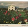 Postcard. Matanuska Valley, Alaska. Northwest Orient Airlines.  House, flowers.