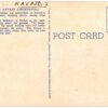 Linen Postcard.  Navajo Chicken Pull, Native Indian Sport. Horses. - Image 2