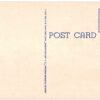 Linen postcard.  Rookery, Everglades National Park. Florida. Nest of Young Wood Ibis. - Image 2