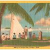 Linen postcard.  Sailing on Biscayne Bay, Florida. Palm trees, sailboats.
