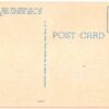 Linen postcard.  Sailing on Biscayne Bay, Florida. Palm trees, sailboats. - Image 2