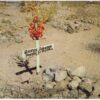 Chrome postcard.  Hanged by Mistake, George Johnson, Tombstone, Arizona.