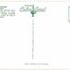 Chrome postcard.  Hanged by Mistake, George Johnson, Tombstone, Arizona. - Image 2