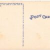 Linen postcard.  Love Birds, Bayfront Park, Miami, Florida.  Cocoanut shell nest. - Image 2