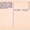 Linen postcard.  Golden Crowned Cranes, African Dancing Cranes, Miami Rare Bird Farm, Miami, Florida. - Image 2