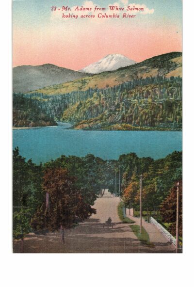 Old postcard.  Mt Adams from White Salmon looking across Columbia River, Washington.