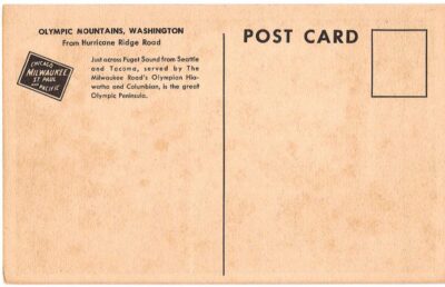White border postcard.  Olympic Mountains, Washington. From Hurricane Ridge Road.  Olympic Peninsula. - Image 2