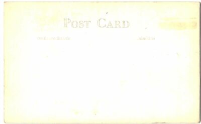 Real Photo Postcard.  Entrance Muir Woods National Monument, California. Tree Rings. RPPC. - Image 2